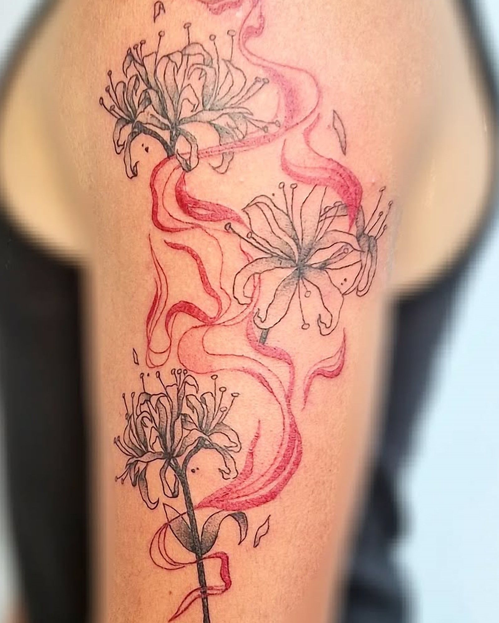 Tatouage fine-line de lys araignées traversés de volutes rouge-rosé, sur le haut du bras, par Kael’ink.